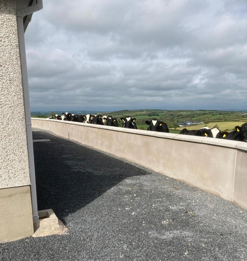 Gracey'S Hillside Lodge Ballyward Luaran gambar